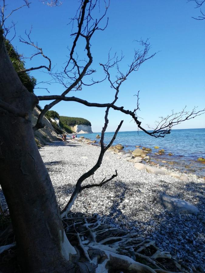 Ferienwohnung "Kranich" Im Ferien-Resort Ruegen サガルト エクステリア 写真