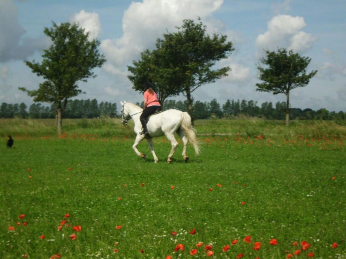 Ferienwohnung "Kranich" Im Ferien-Resort Ruegen サガルト エクステリア 写真