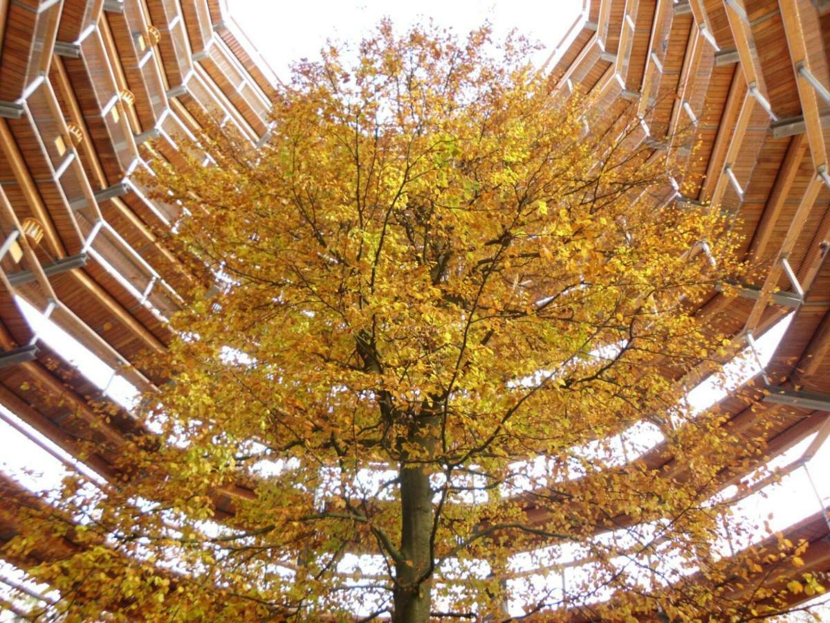Ferienwohnung "Kranich" Im Ferien-Resort Ruegen サガルト エクステリア 写真